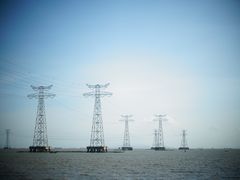 -宝安西湾红树林湿地公园