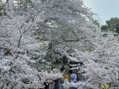 -杭州少年儿童公园
