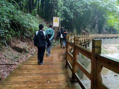 -凤栖山