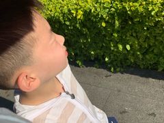 -鼓浪屿内厝澳码头(轮渡站)