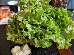 -四斤烤肉(东戴河孟家店)
