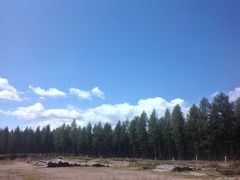 -塞罕坝国家级自然保护区