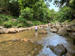 -广州白江湖森林公园