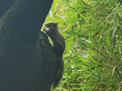 -昆明植物园