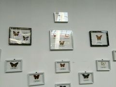 -红栌温泉山庄生态美食餐厅