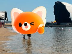 -碧海金沙