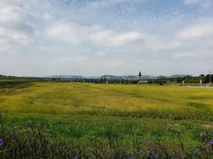 -光明小镇欢乐田园