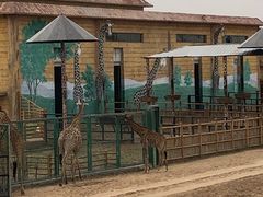 -鄂尔多斯野生动物园