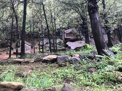 -泰山风景名胜区