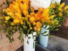 -Osteria Garden 生蚝花园餐厅(原进贤路店)