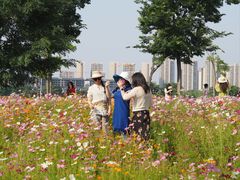 -洋湖国家湿地公园