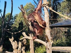 -云南野生动物园