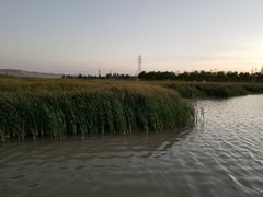 -党河风情线国家水利风景区