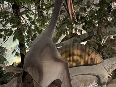 -湖南省地质博物馆