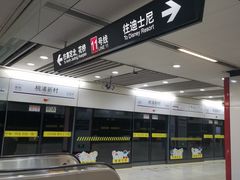 -桃浦新村(地铁站)