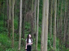 -英西峰林九重天景区