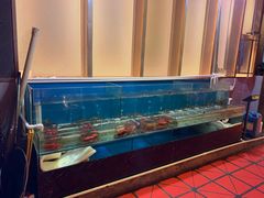 水产区-虾胡闹·澳洲小龙虾·烧烤(福田鲨鱼店)