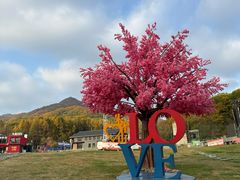 -吉林市朱雀山国家森林公园