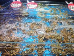 -徐记海鲜(大雁塔|金都店)
