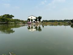-水岸居湖景农家乐·阳澄湖大闸蟹