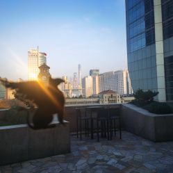 -上海明天广场JW万豪酒店·宴会厅