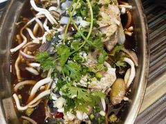 -自游人·美食一楼·地道徽菜(三十年名店)