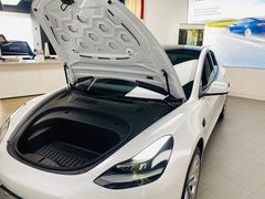 -TESLA 特斯拉(郑州正弘城体验店)