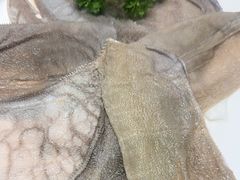 -大妙火锅·非物质文化遗产(东湖公园店)