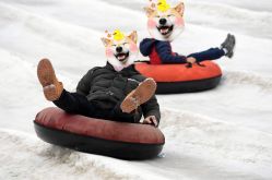 -优沃得自然教育农场·冰雪乐园·生日会·研学