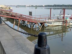 -大湾区中央湿地公园-十九涌