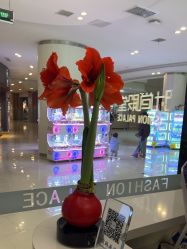 -时尚殿堂salon