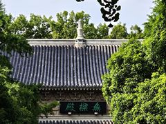 -灵谷景区