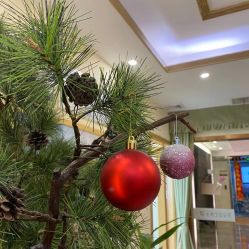 -芳朵美容养生SPA