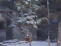 -爱新觉罗皇家博物院