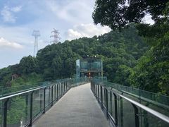 -巴倒烫陆派重庆火锅(南山店)