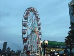 商场旁边的摩天轮-Pancakes on the rocks(Darling Harbour)