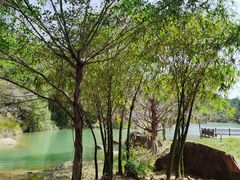 -广州白江湖森林公园