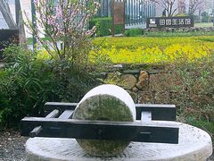 -田园东方蜜桃村的田野营地