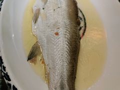 鸡汁白鱼-南京大牌档(济南万象城店)