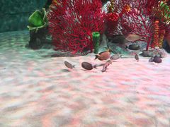 -沈阳海洋探索中心