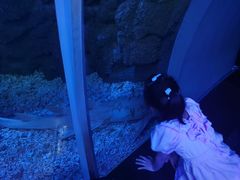 -江和美海洋公园