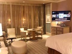 -拉斯维加斯永利酒店