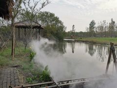 -溱湖国家湿地公园