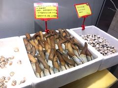 -蚝专家(北滘店)