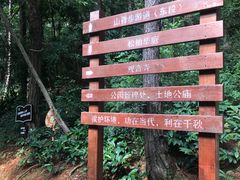 -仙岳公园