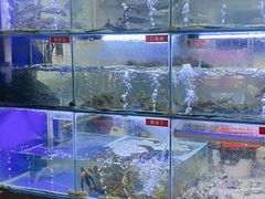 水产区-石锅苗苗鱼(武汉首店)