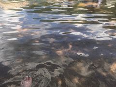 -安吉龙王山峡谷漂流