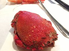 龙虾和什么的混合物-星伦多自助料理·涮烤一体(虹悦城店)
