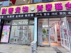 -青奢宠物·青奢猫舍