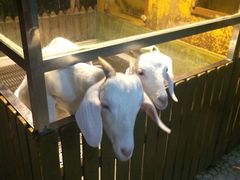 -上海大自然野生昆虫馆